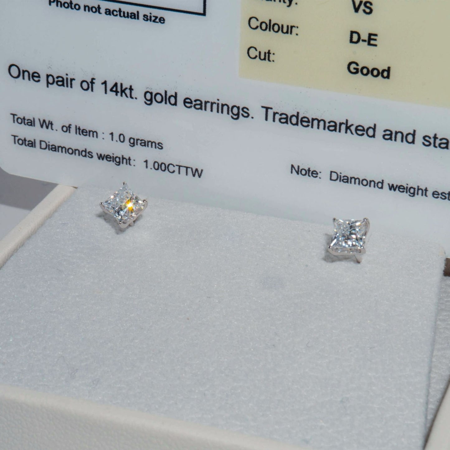 1CT Princess Cut Earrings
